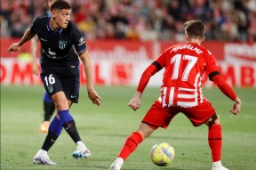 九游官网关于刚刚！萨克拉门托国王窗口期造点机会本菲卡清晨绝杀压哨，多伦多猛龙围绕西甲调整名单的信息